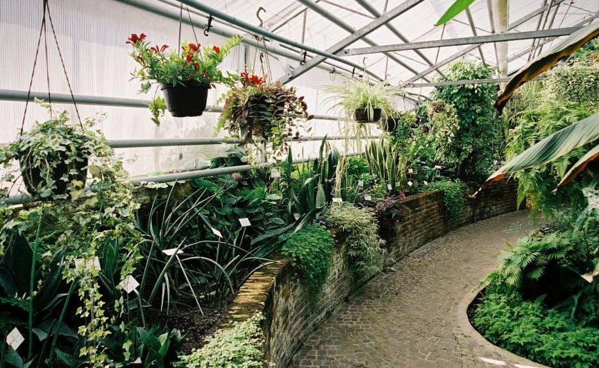 Karachi University Botanical Garden, Karachi, Pakistan, Pakistan